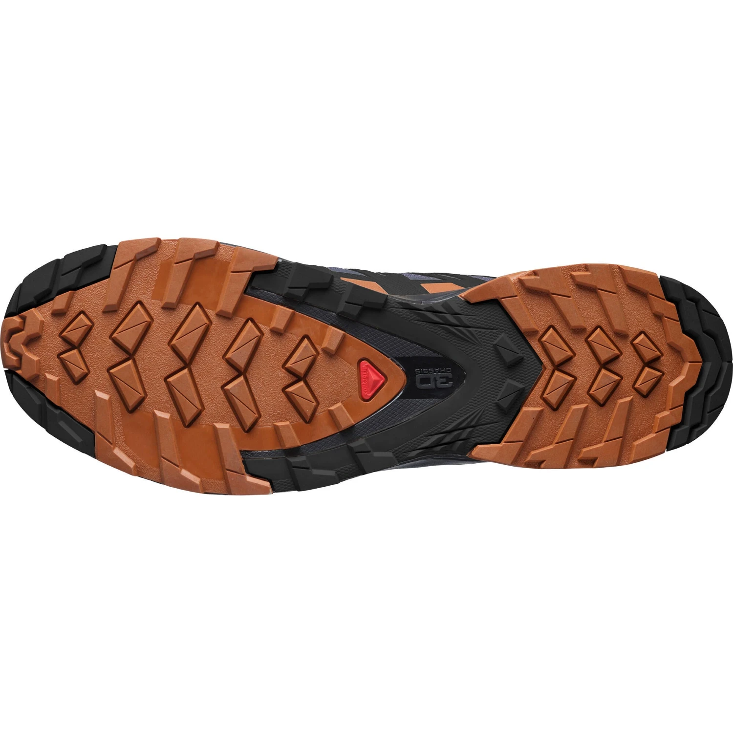 Salomon XA Pro 3D V8 Gore-Tex Men's Trail Running Shoes WIDE - Ebony 2 Salomon XA Pro 3D V8 Gore-Tex Men's Trail Running Shoes WIDE - Ebony - Image 2